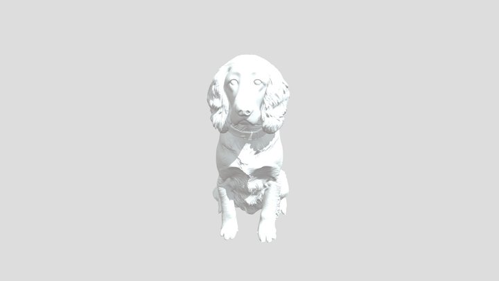 Majestic Chocolate Canine 3D Model