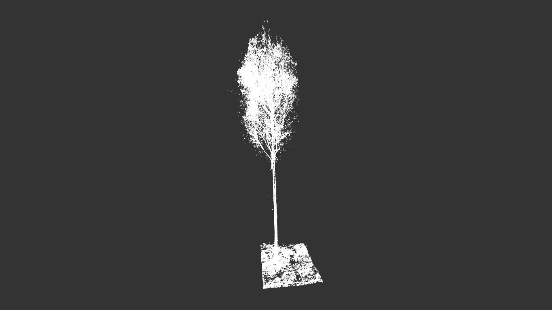Lidar Tree Modelling