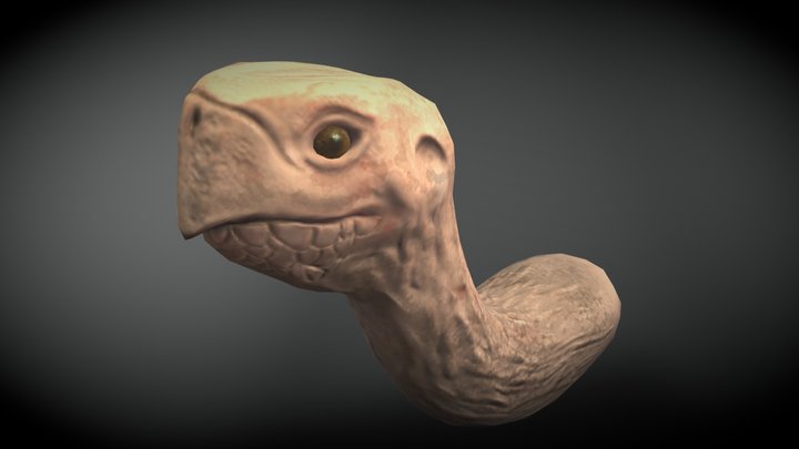 EverTurtle 3D Model