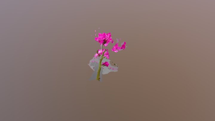 Flower Test01 3D Model