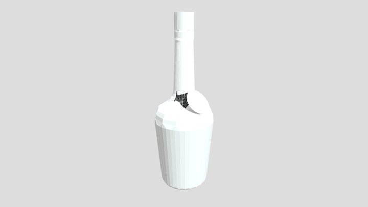 HENNY 3D Model