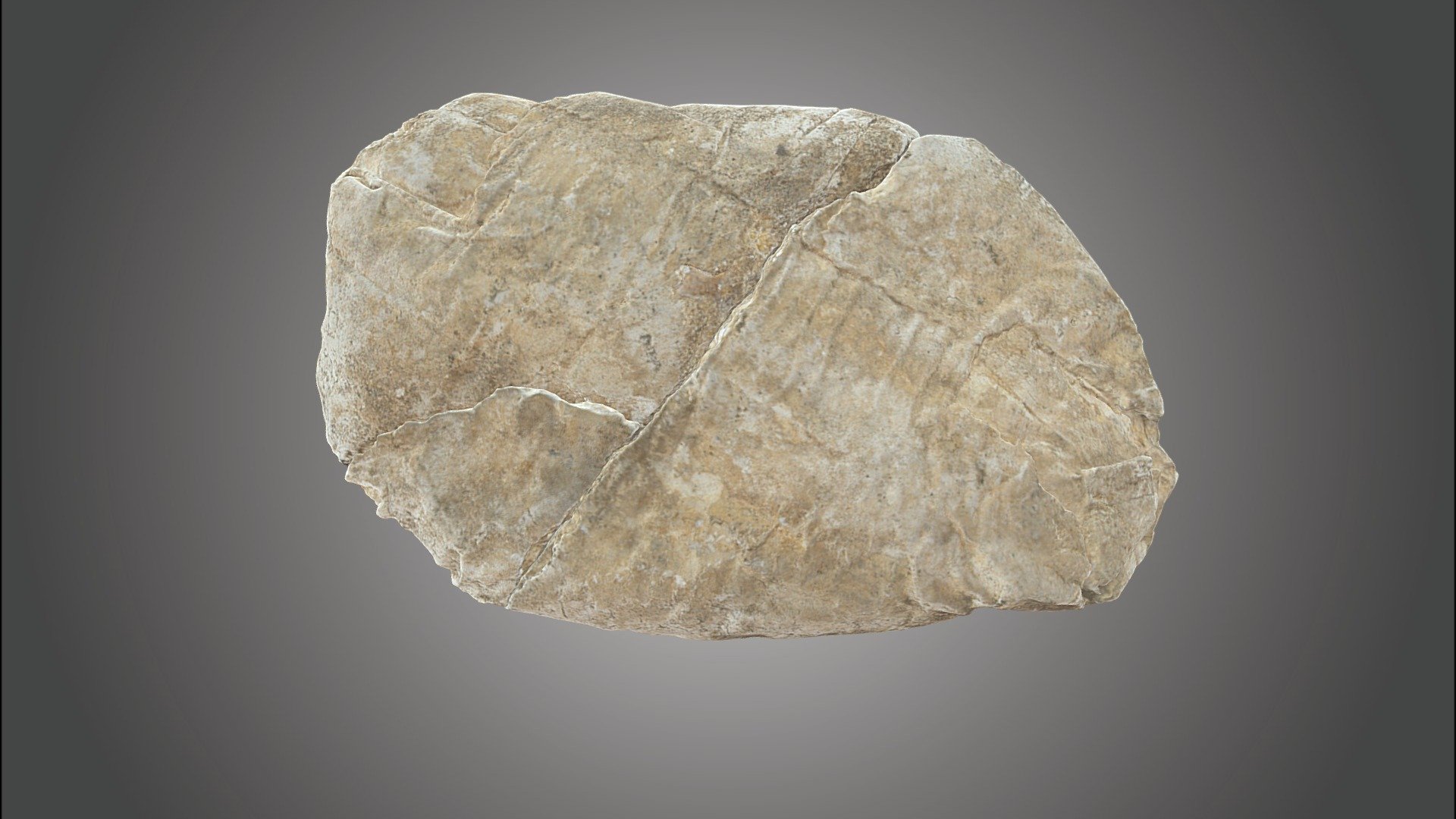 Gips uit de Romeinse periode - 3D model by Erfgo3D [6d73020] - Sketchfab