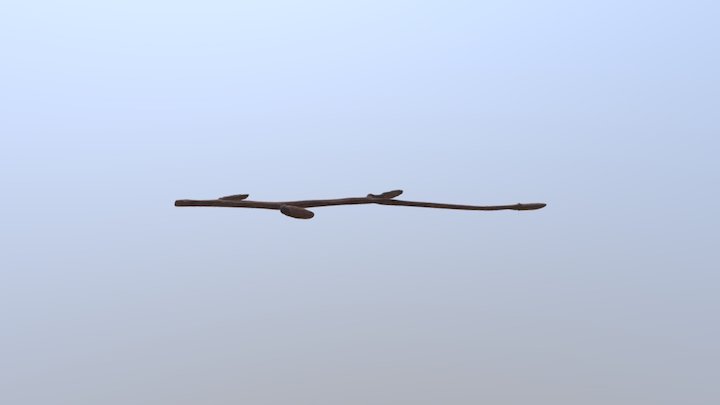 Twig 4 3D Model