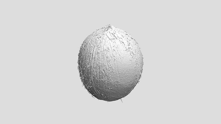 Coconut - Ultra-Realistic 3D Print Model 3D Model