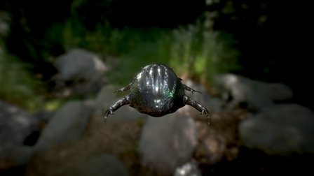 Beetle 3D Model