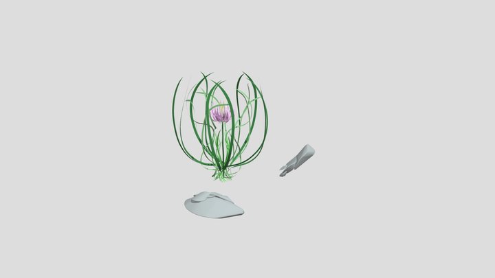 Flower with Stones 3D Model