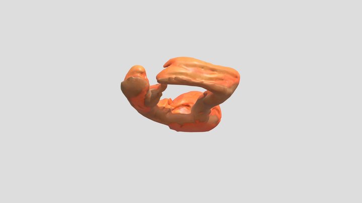 octopus – Modello 3D gratuito STL