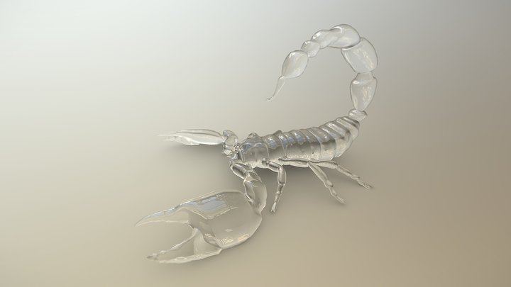 Transparent Scorpion 3D Model