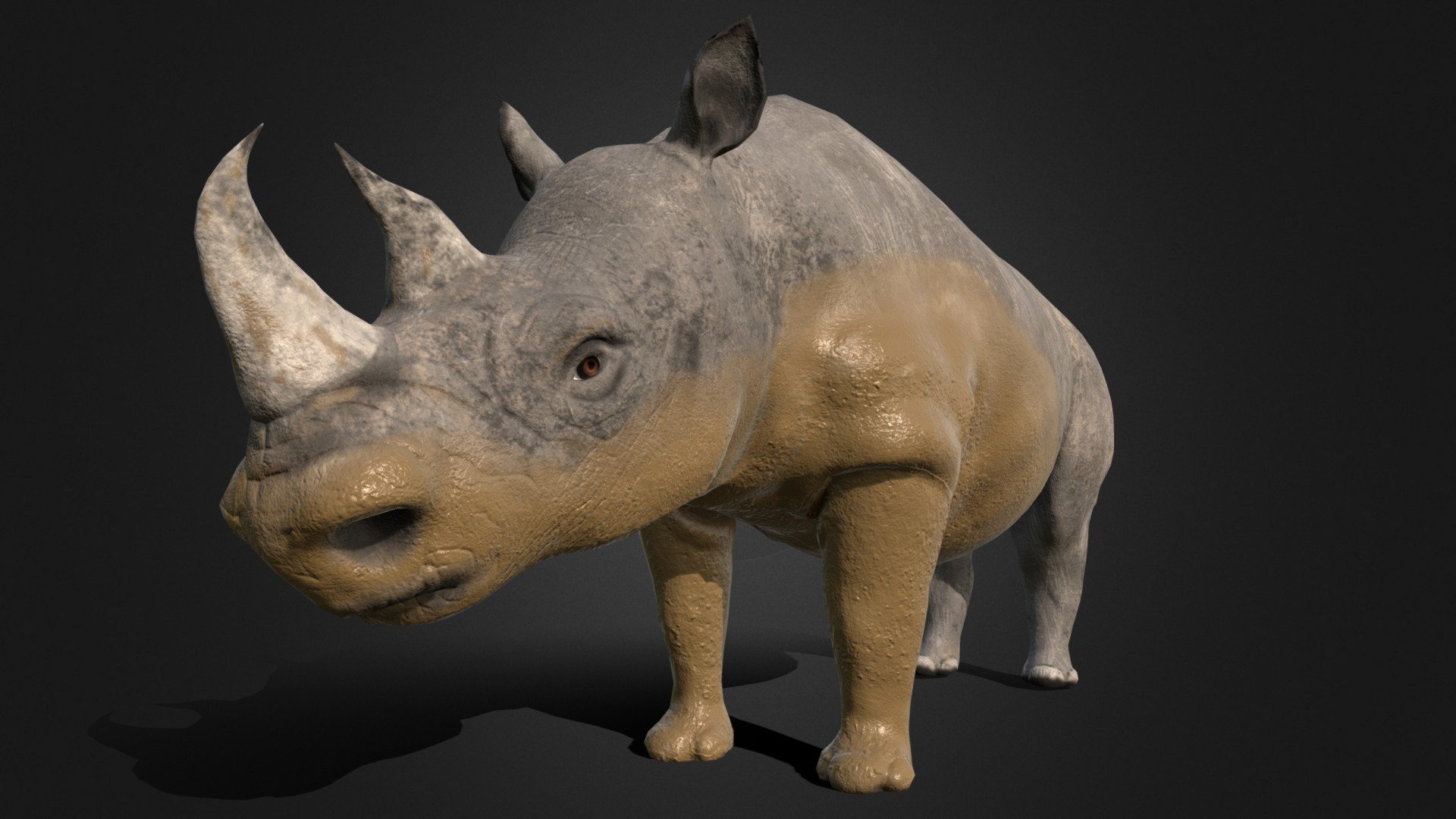 Rhino