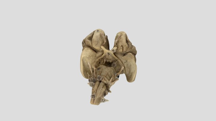 Ta Paphawarin 3D Model