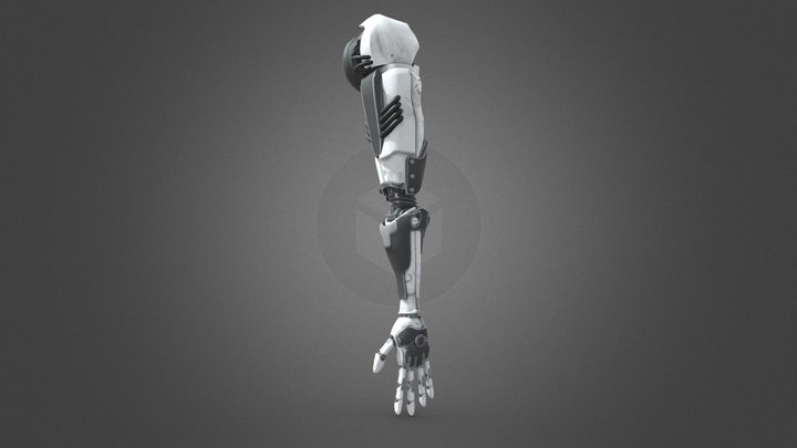 Robot Arm 3D Model