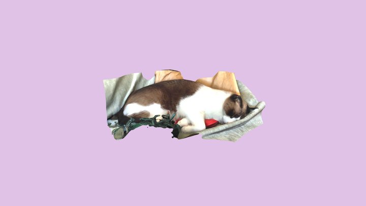Copito, sleeping cat 3D 3D Model