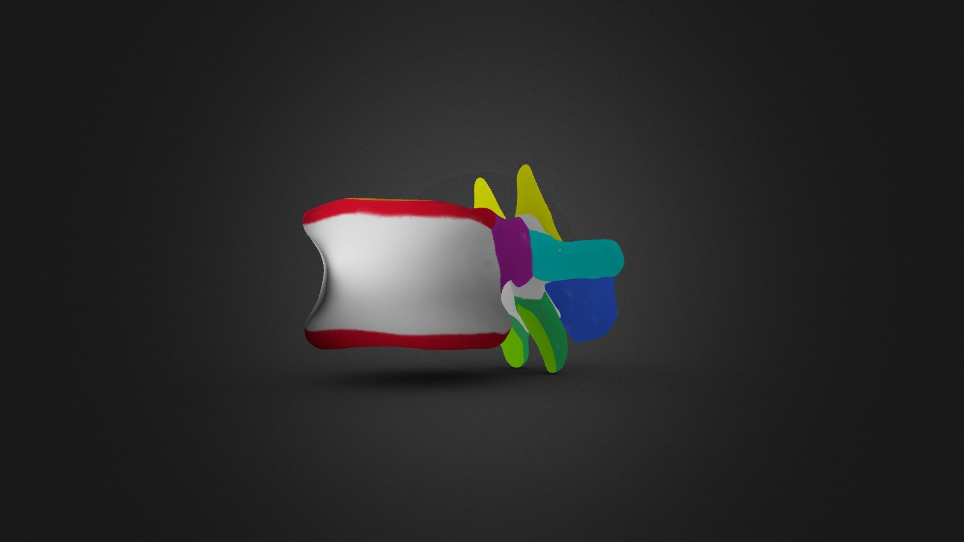 Lumbar Vertebrae with Colored Features