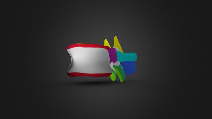 Lumbar Vertebrae with Colored Features 3D Model
