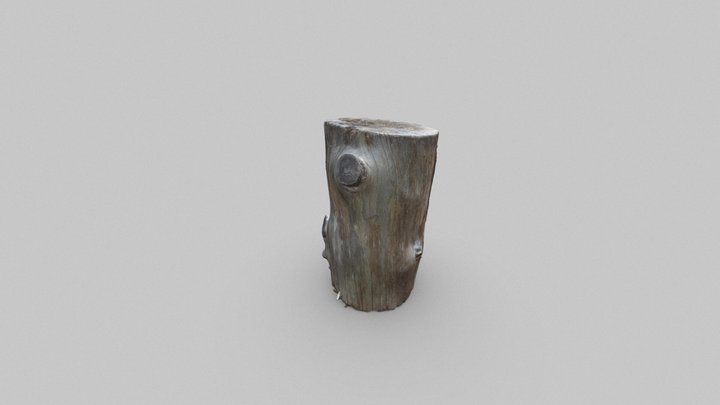 TreeStump 3D Model