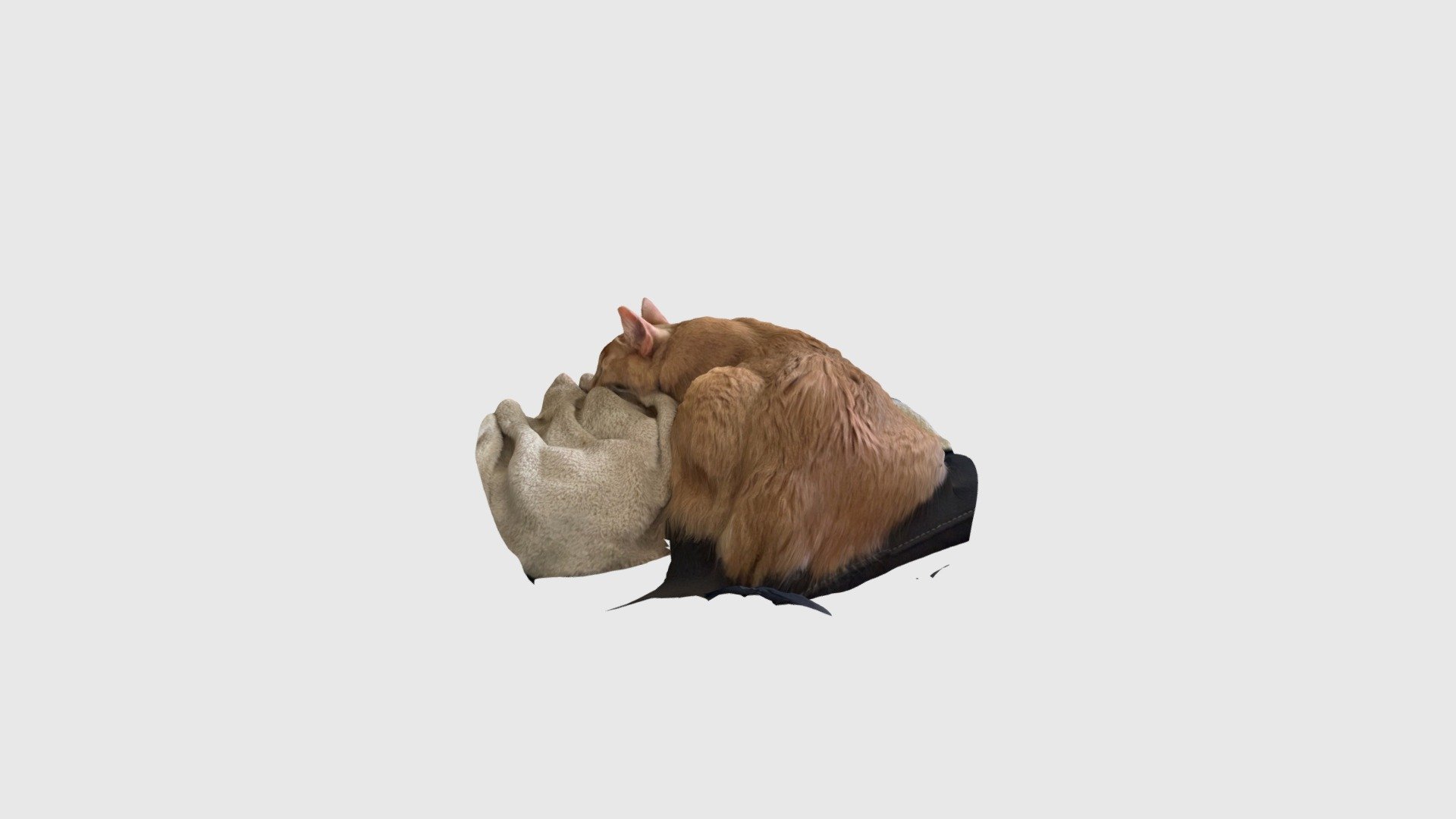 Doody Sleeping