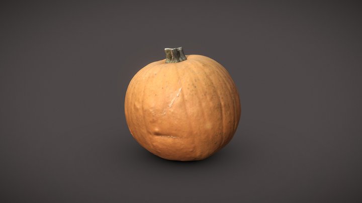 Pumpkin Photogrammetry 3d model 3D Model