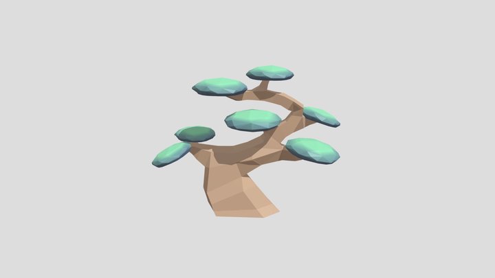 Japanese pine tree