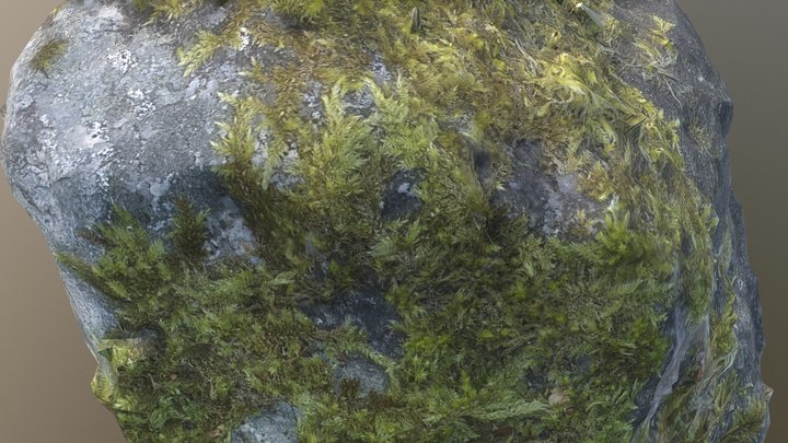 Stone Moss 3D Model