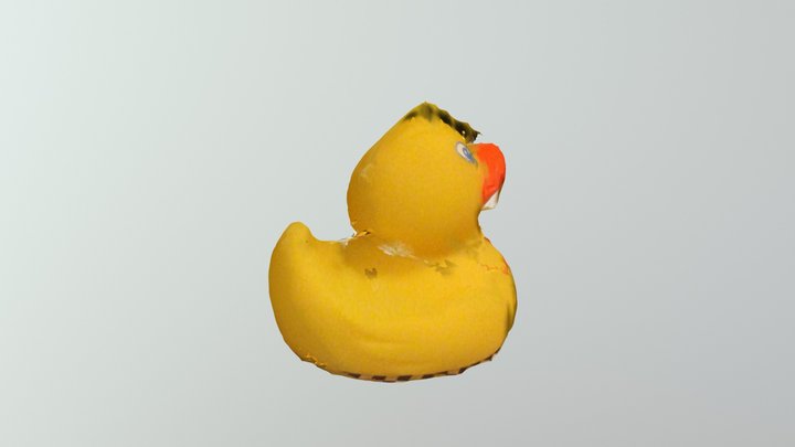Duck 2 3D Model