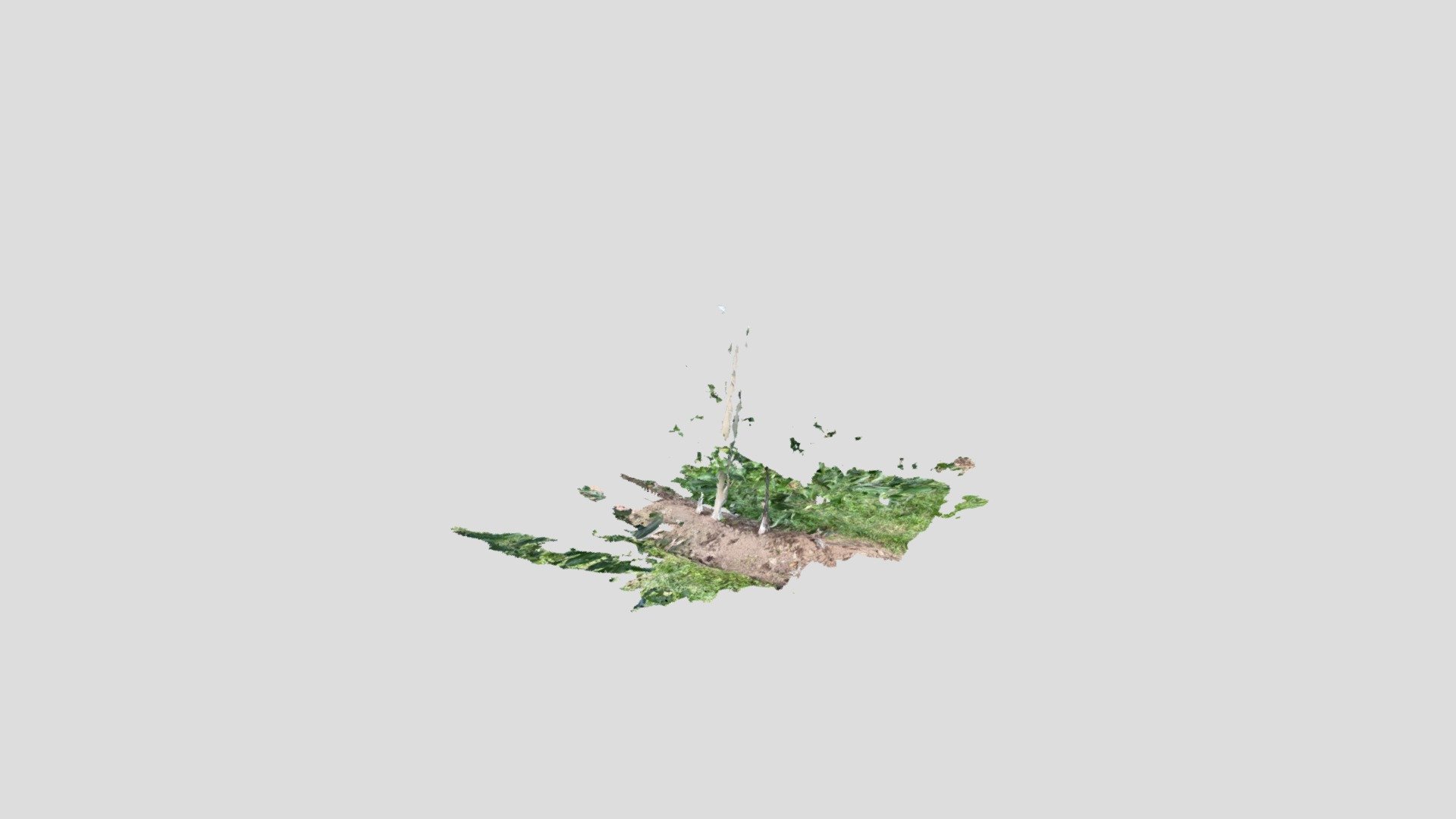 apfelplantage