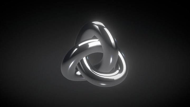 Infinite LOOP 3D Model