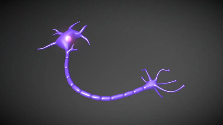 Neuron 3D Model 3D Model
