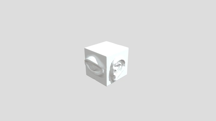 Second Anatomy Cube 3D Model