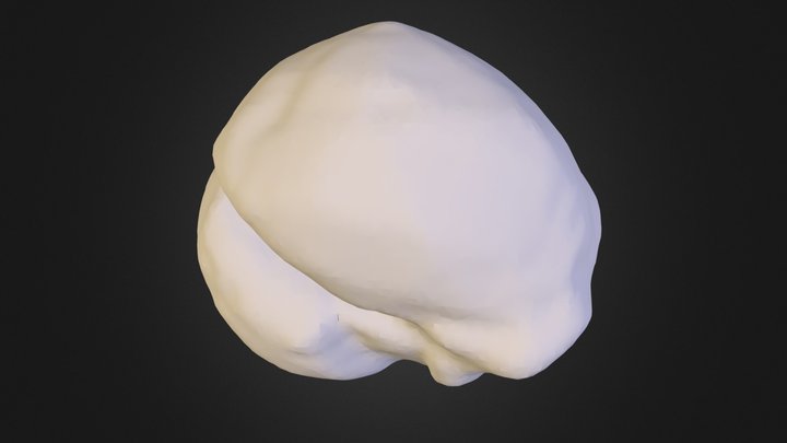 skull.obj 3D Model