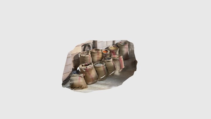 Old seeds Damascus bags seeds 3D Model
