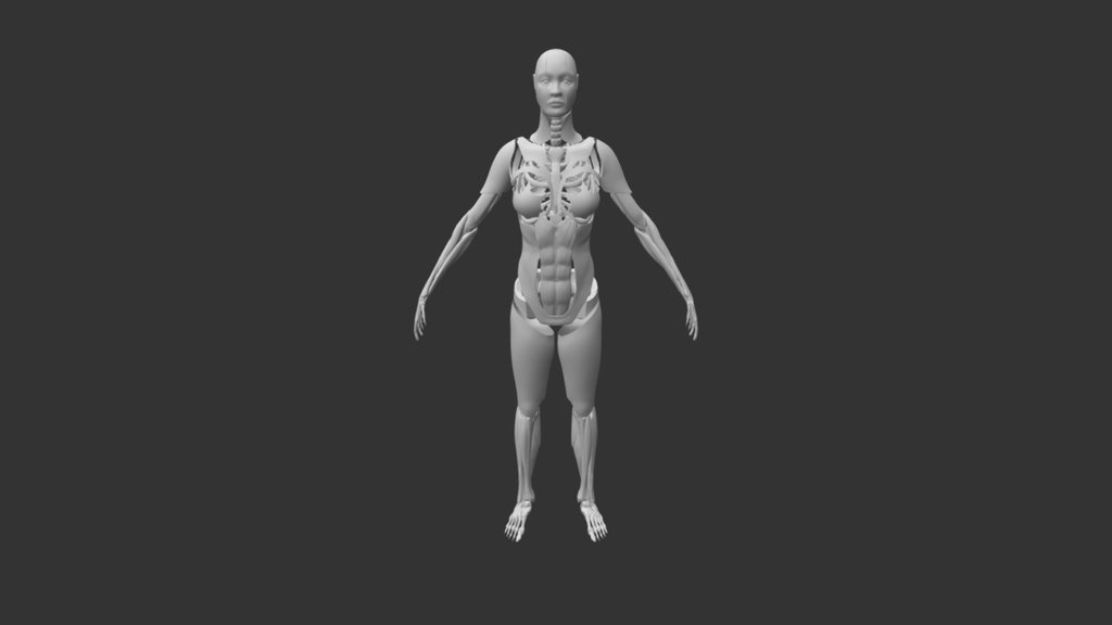 9) Robot Body Trimmed - 3D model by Gianluca Siciliano ...