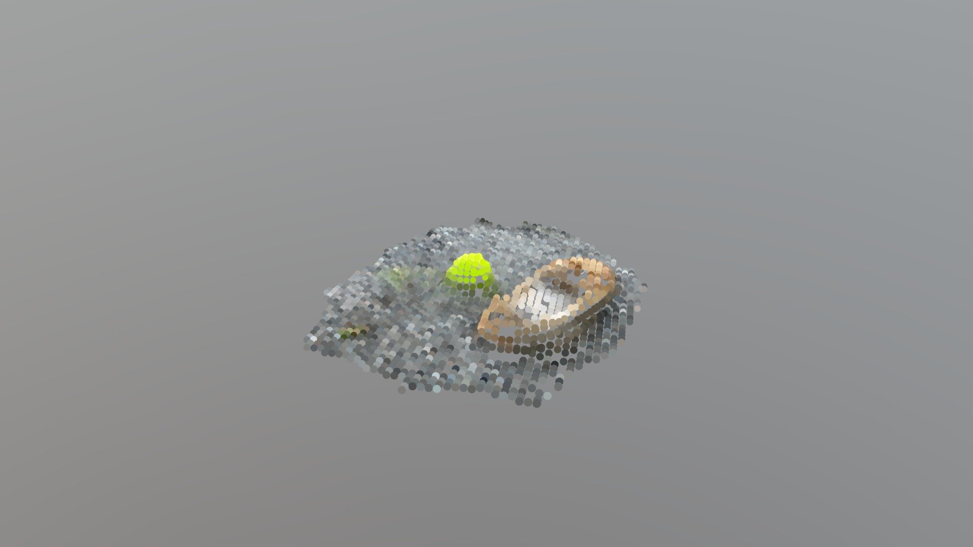 Tennis Ball and Moccasin