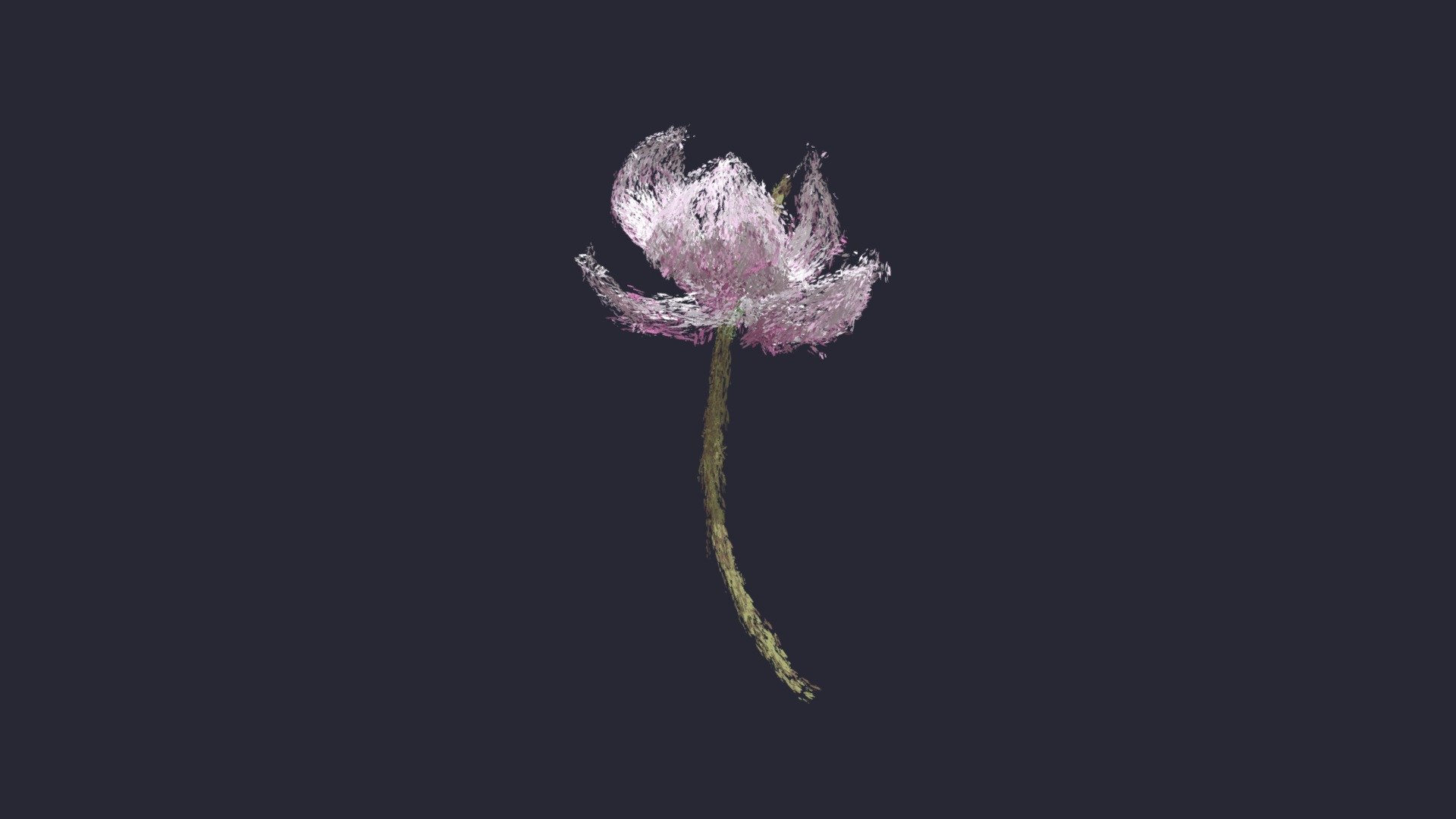 Magnolia