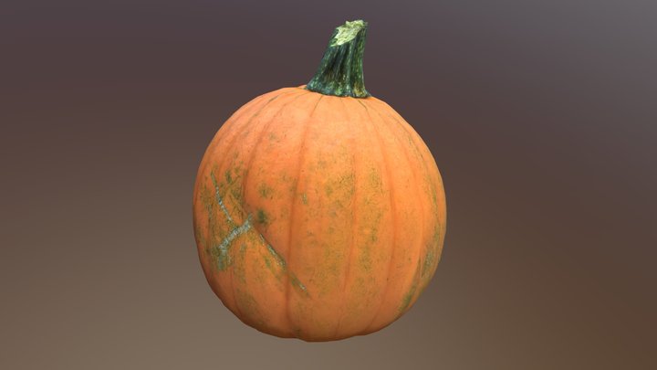 Ramsgate Ranch Pumpkin Scan 3D Model