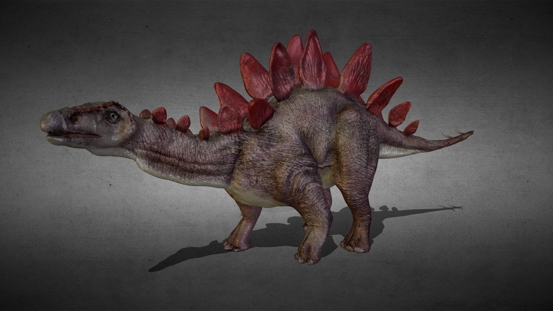 Stegosaurus posed