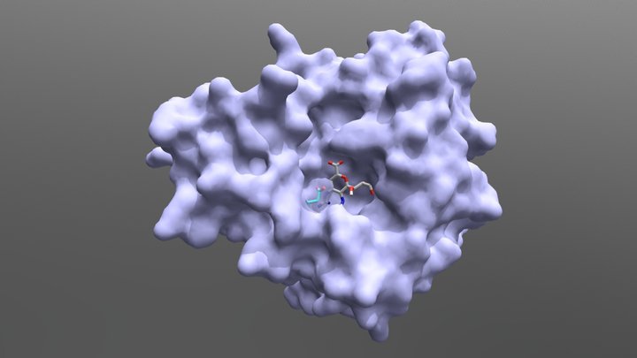 H15N5 Neuraminidase with Laninamivir (surface) 3D Model
