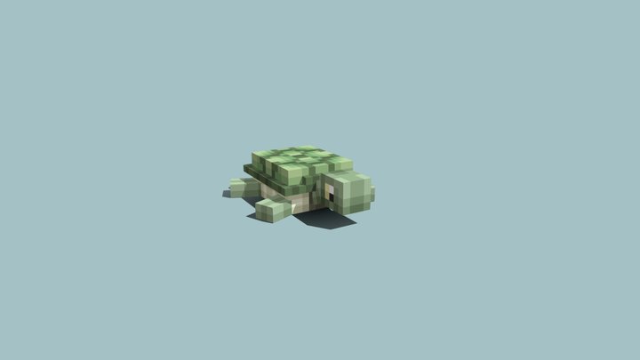 cute turtle 3D Model