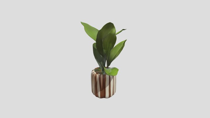 Vibrant Potted Plant | Home Decor Asset 3D Prop