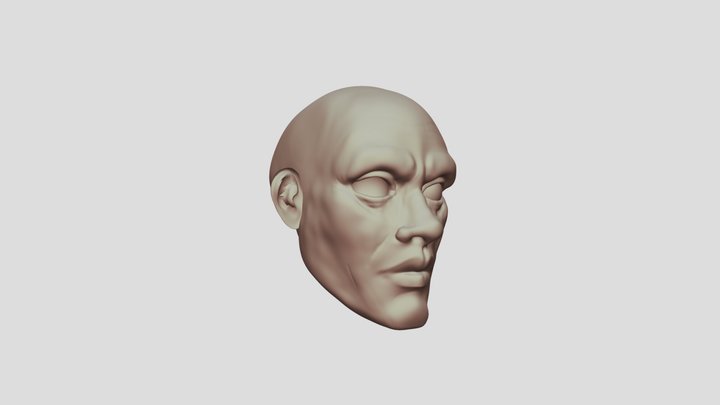 Man Head 3D Model