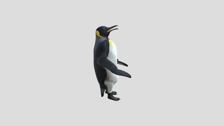 penguin 3D Model