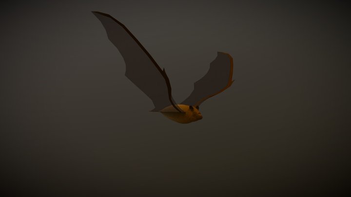 Little Brown Myotis "Parliament" Animations 3D Model