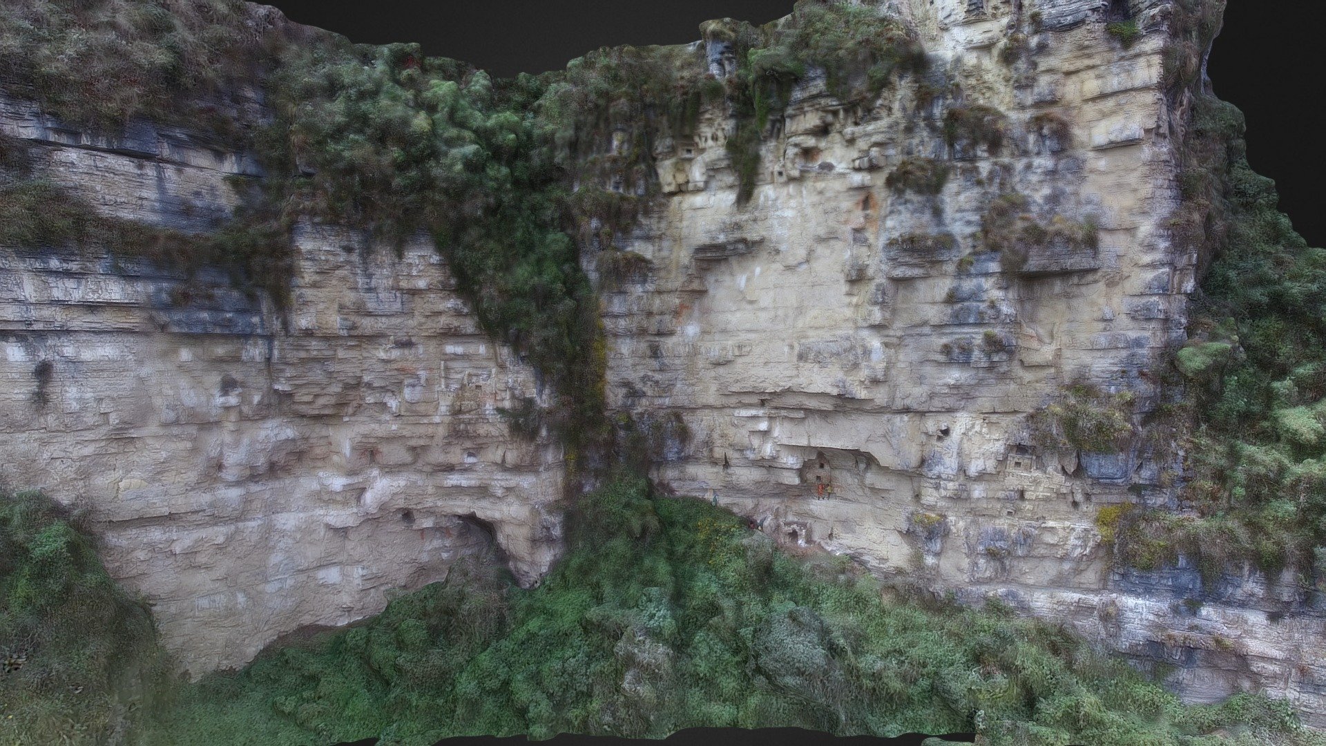DWS1