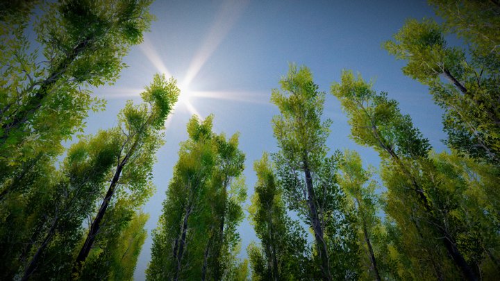Long Trees Collection 3D Model
