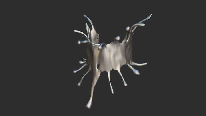 Splash Necklace 3D Model