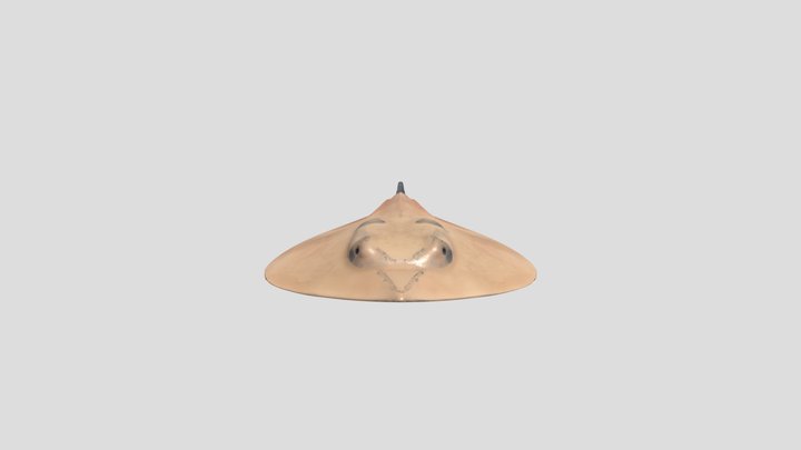Stingray in a top-down view 3D Model
