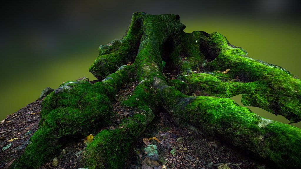 Mossy Root - Download Free 3d Model By Paul (@paul3uk) [6dccfb4 