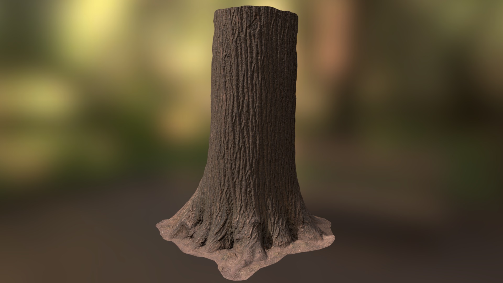 3D model Black Locust Medium Mid Poly - This is a 3D model of the Black Locust Medium Mid Poly. The 3D model is about a tree trunk with a knot.