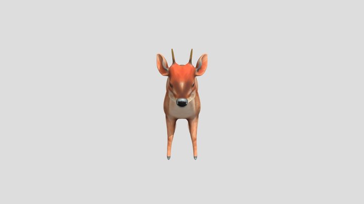 Smallest deer in the world: Pudu Pudu (Pudú) 3D Model