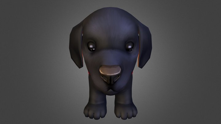 Labrador 3D Model
