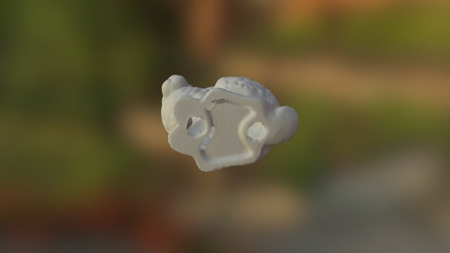 Bunny Test 3D Model